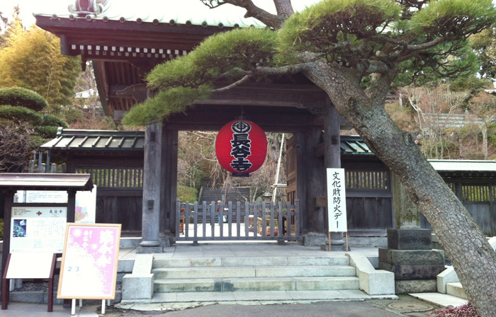 attraction hasedera img 01