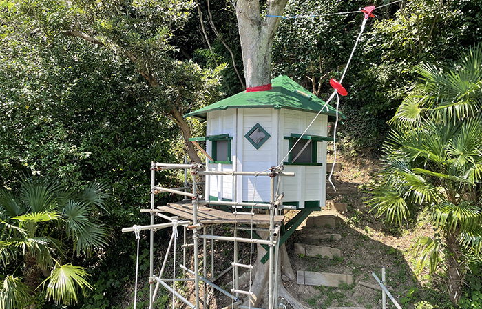 attractions_tree_zipline